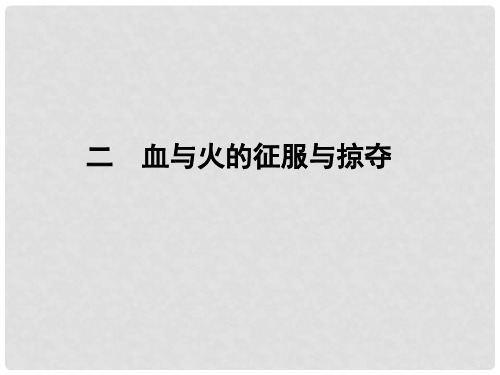 高中历史 5.2 血与火的征服欲掠夺课件 人民版必修2