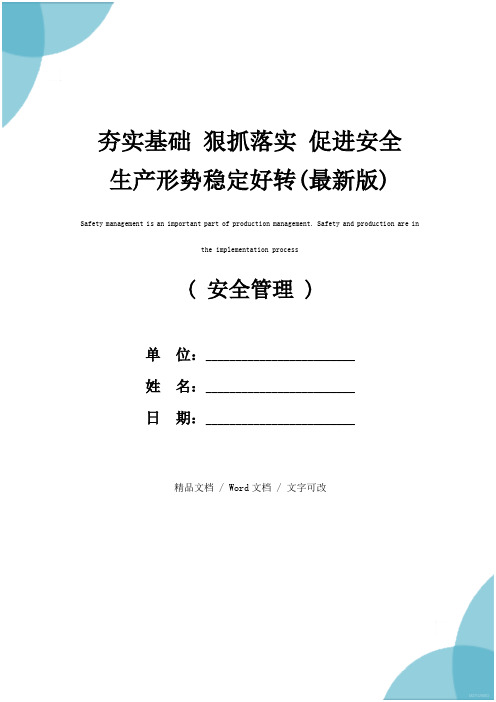 夯实基础 狠抓落实 促进安全生产形势稳定好转(最新版)