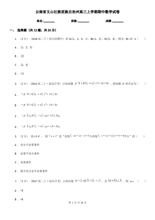 云南省文山壮族苗族自治州高三上学期期中数学试卷