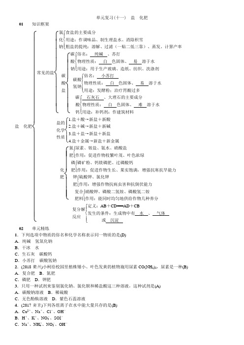 07单元复习(十一)盐化肥