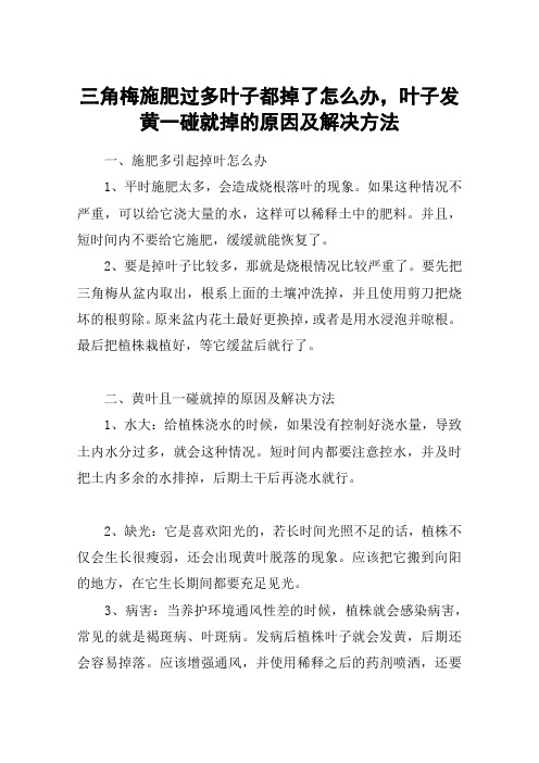 三角梅施肥过多叶子都掉了怎么办,叶子发黄一碰就掉的原因及解决方法