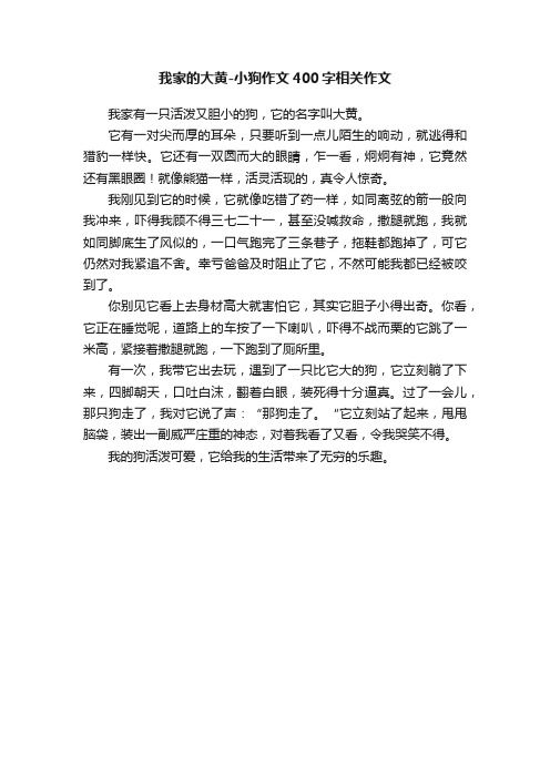 我家的大黄-小狗作文400字相关作文