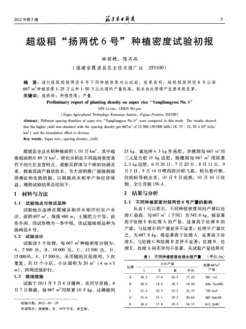 超级稻“扬两优6号”种植密度试验初报