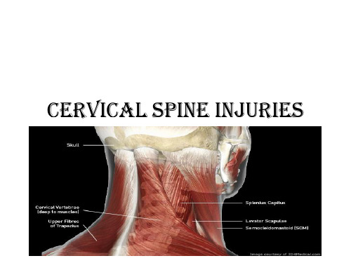 颈椎损伤(英文版)