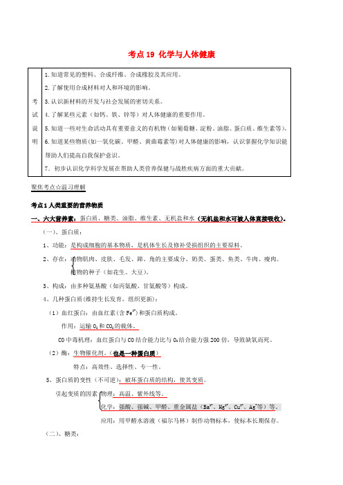 2018年中考化学考点 总动员系列 考点：19 化学与人体健康(含解析)