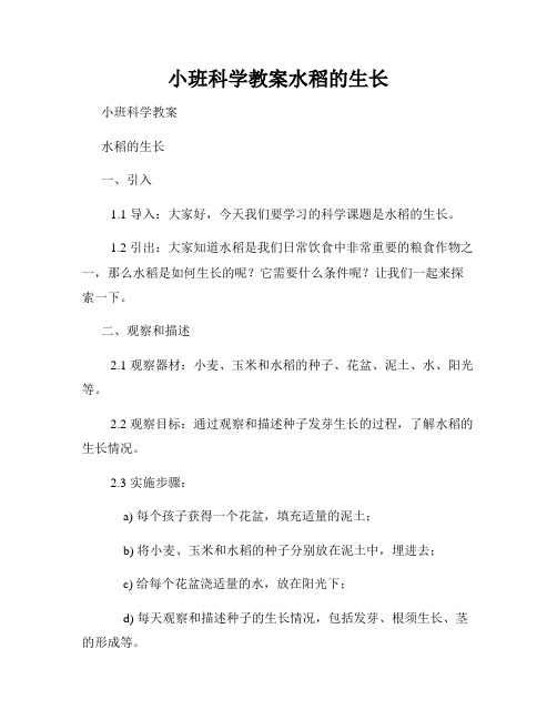 小班科学教案水稻的生长