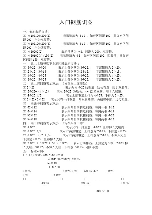 钢筋入门识图讲解