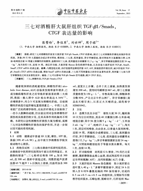 三七对酒精肝大鼠肝组织TGF-β1／Smads,CTGF表达量的影响