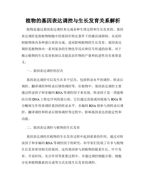 植物的基因表达调控与生长发育关系解析