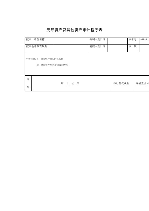 企业无形资产及其他资产审计程序表