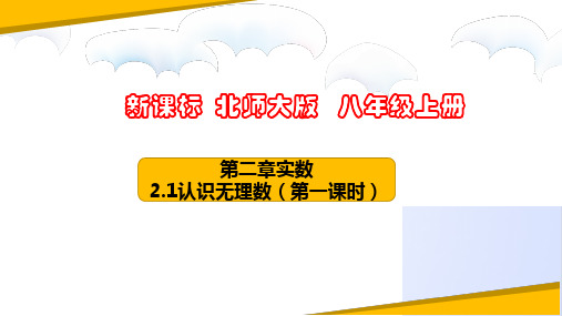 认识无理数(第一课时)(课件)八年级数学上册(北师大版)