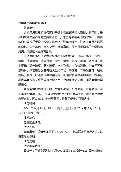 公司外出游玩方案（精选3篇）