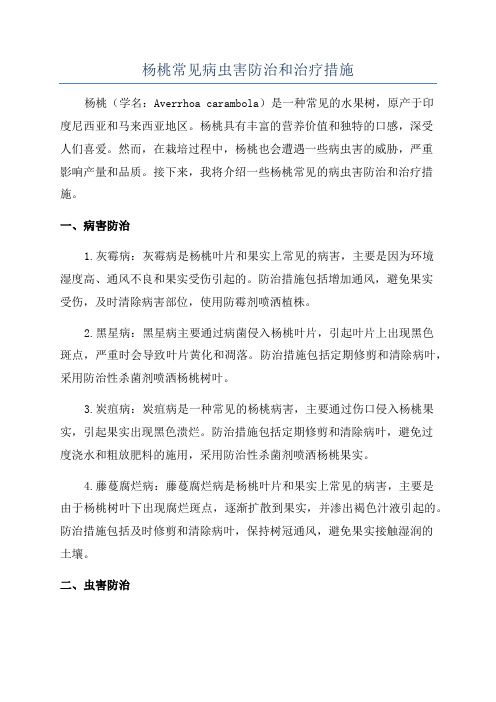 杨桃常见病虫害防治和治疗措施