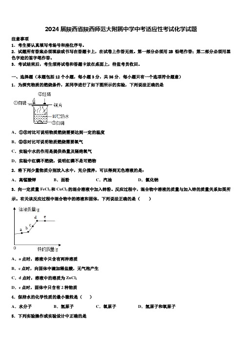 2024届陕西省陕西师范大附属中学中考适应性考试化学试题含解析