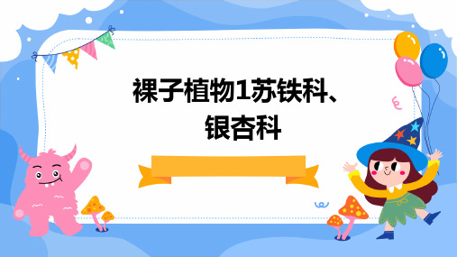 裸子植物1苏铁科、银杏科