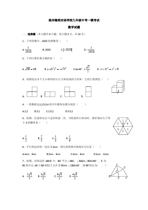 江苏省扬州梅苑双语学校2020年九年级数学中考一模考试(无答案)