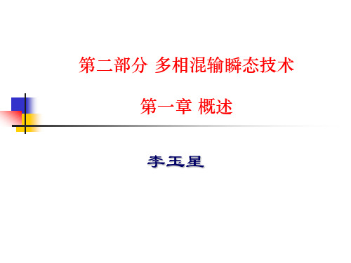 第二部分多相混输瞬态技术