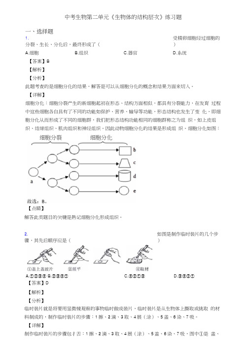 中考生物第二单元《生物体的结构层次》练习题