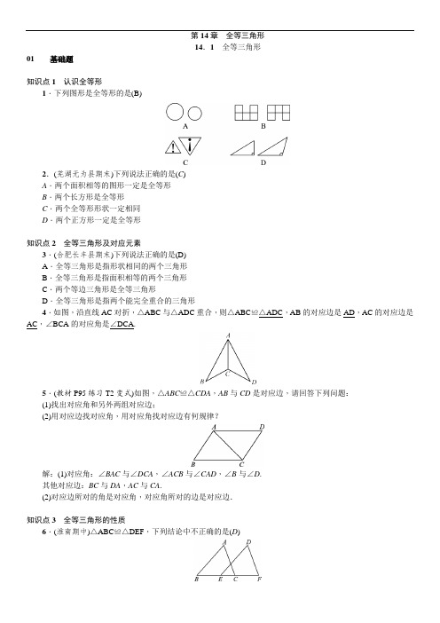 沪科版八年级数学上册第14章  全等三角形单元复习讲义(含答案)