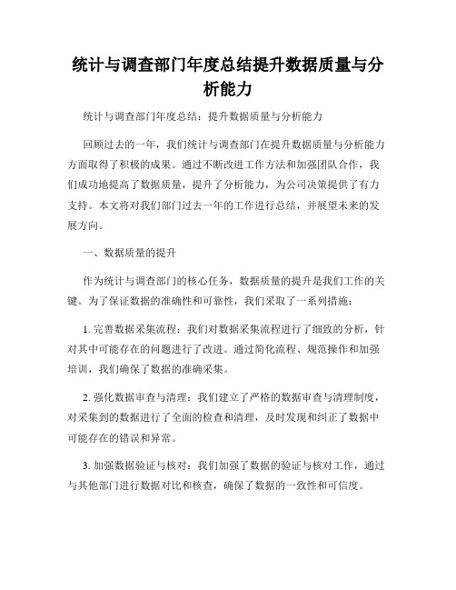 统计与调查部门年度总结提升数据质量与分析能力