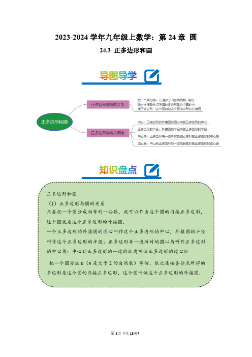 2023-2024学年九年级上数学：正多边形和圆(精讲教师版)