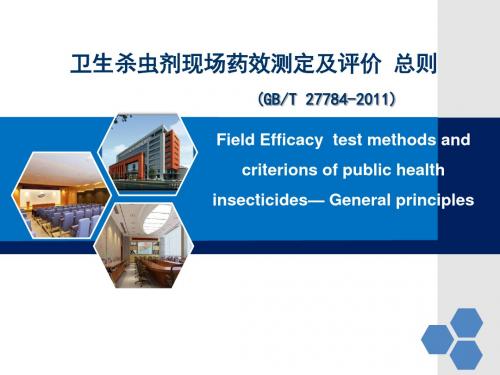 卫生杀虫剂现场药效测定及评价 总则