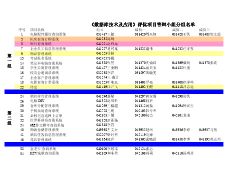 项目小组一