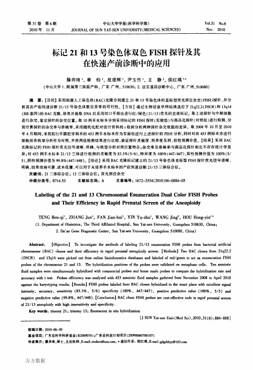 双色FISH探针及其在快速产前诊断中的应用