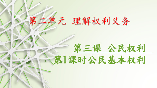 人教部编版道德与法治八下3.1 公民的基本权利 课件(共23张PPT)