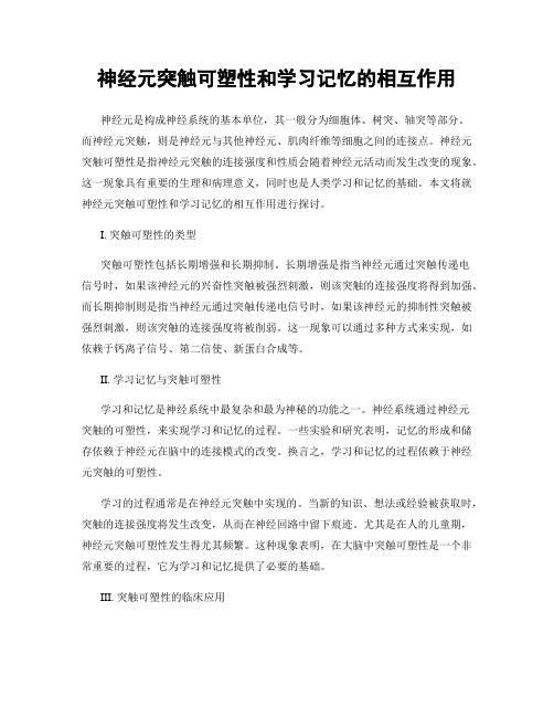 神经元突触可塑性和学习记忆的相互作用