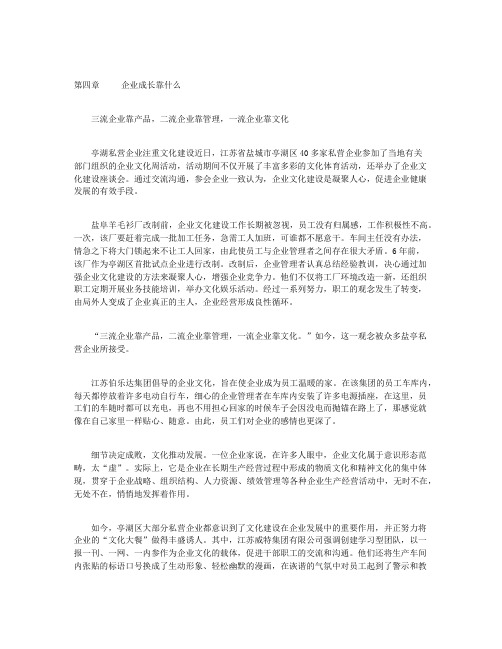 中外企业文化案例-第四章