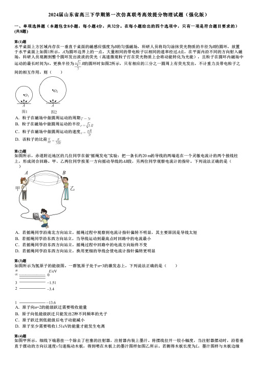 2024届山东省高三下学期第一次仿真联考高效提分物理试题(强化版)