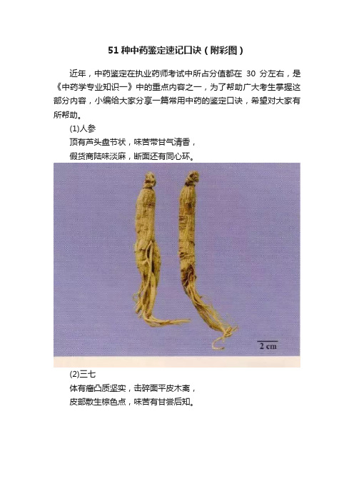 51种中药鉴定速记口诀(附彩图)