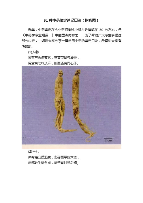 51种中药鉴定速记口诀（附彩图）