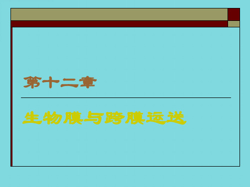 生物膜与跨膜运送(分析“细胞”文档)共33张PPT