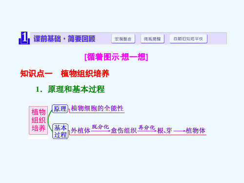 第三讲植物组织培养、DNA技术及植物有效成分的提取