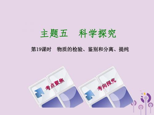 湖南省2018年中考化学复习主题五科学探究第19课时物质的检验、鉴别和分离、提纯课件