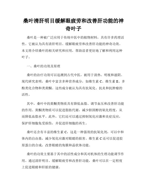 桑叶清肝明目缓解眼疲劳和改善肝功能的神奇叶子