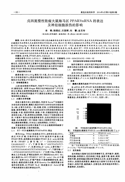 戊四氮慢性致痫大鼠海马区PPARγmRNA的表达及神经细胞损伤的影响