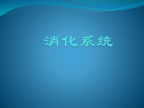 胰腺炎护理练习题