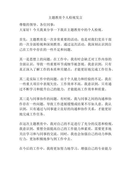 主题教育个人检视发言