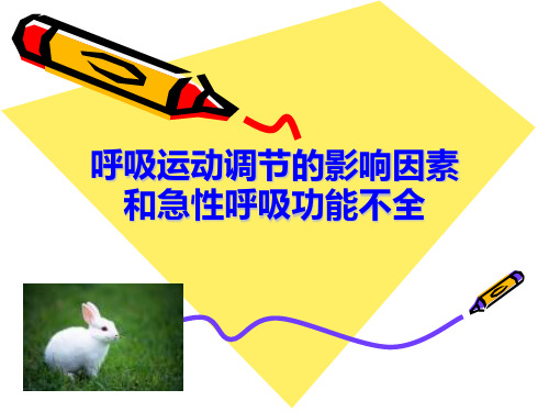 《机能实验学》临床,呼吸c讲课教案