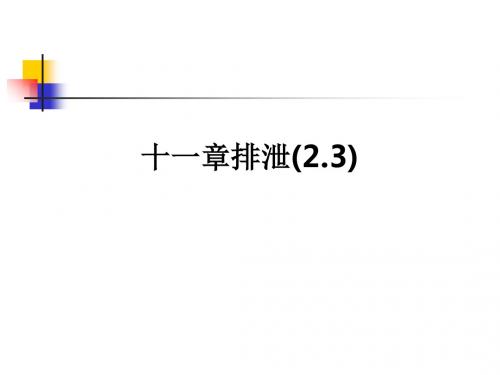 十一章排泄(2.3)ppt课件