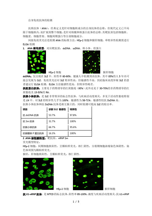 自身抗体监测