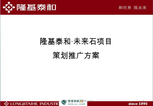 保定隆基泰和未来石商业地产项目策划推广方案