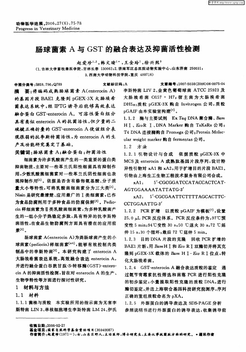 肠球菌素A与GST的融合表达及抑菌活性检测