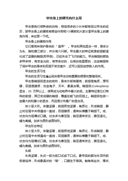 甲虫身上的硬壳有什么用