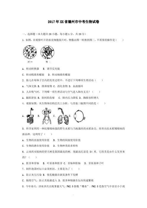 2017年山东省中考生物试卷