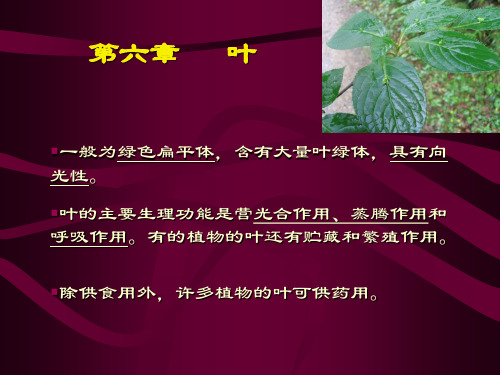 药用植物学