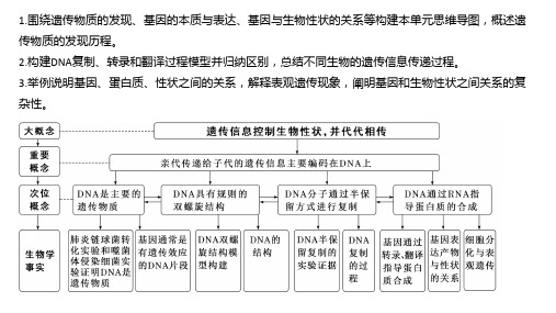 专题三 遗传的分子基础、变异和进化